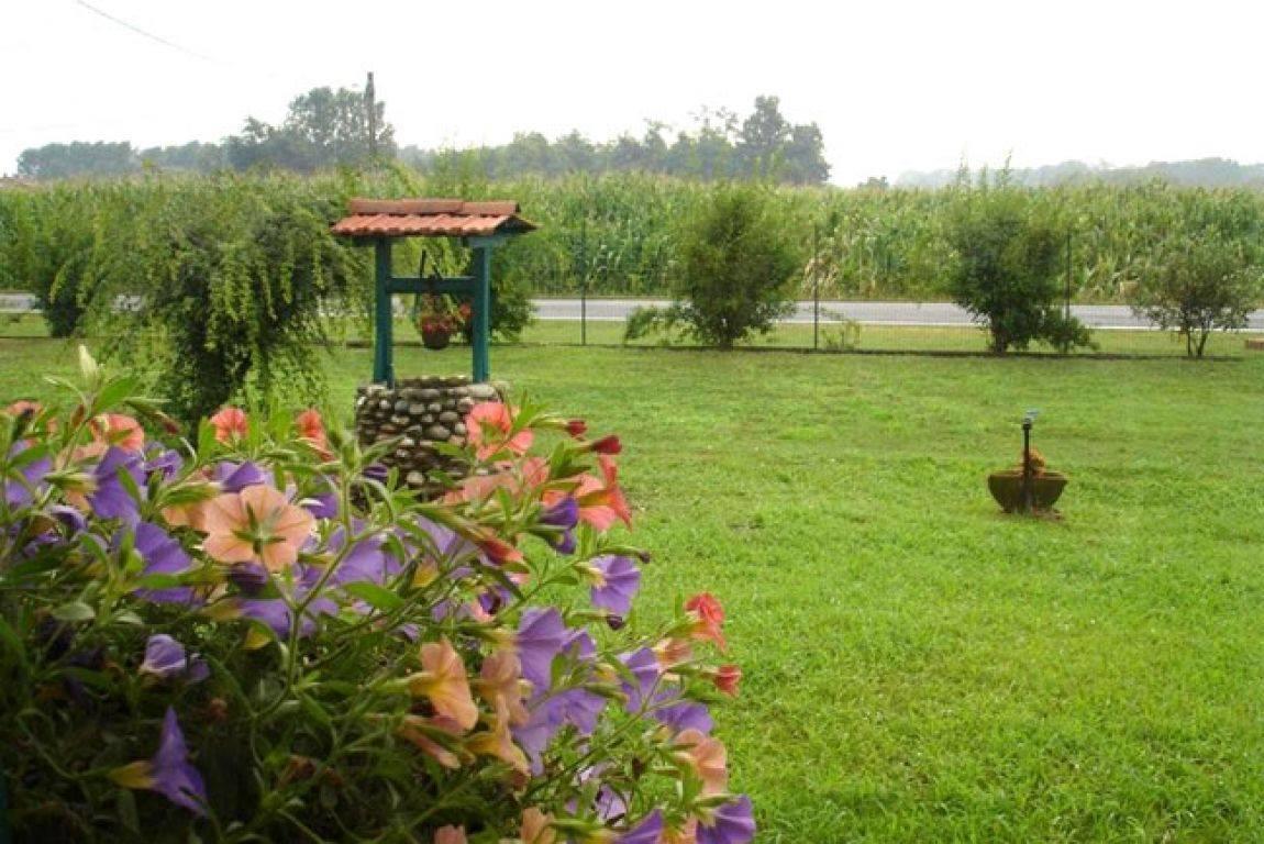 Agriturismo La Biandrina Carpignano Sesia 외부 사진